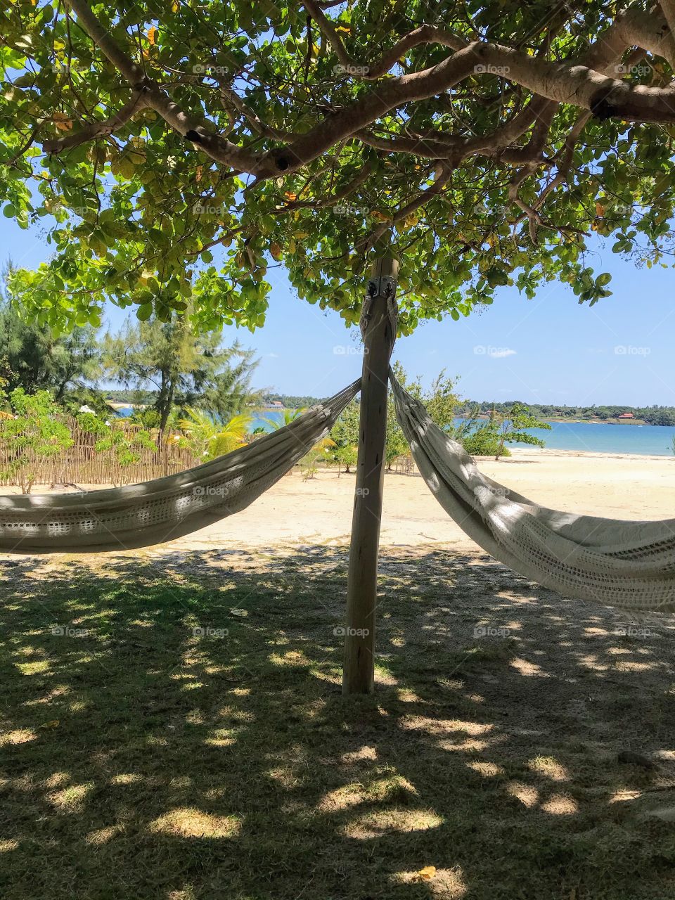 A hammock and nature, want a better environment to relax?  Perfect match!