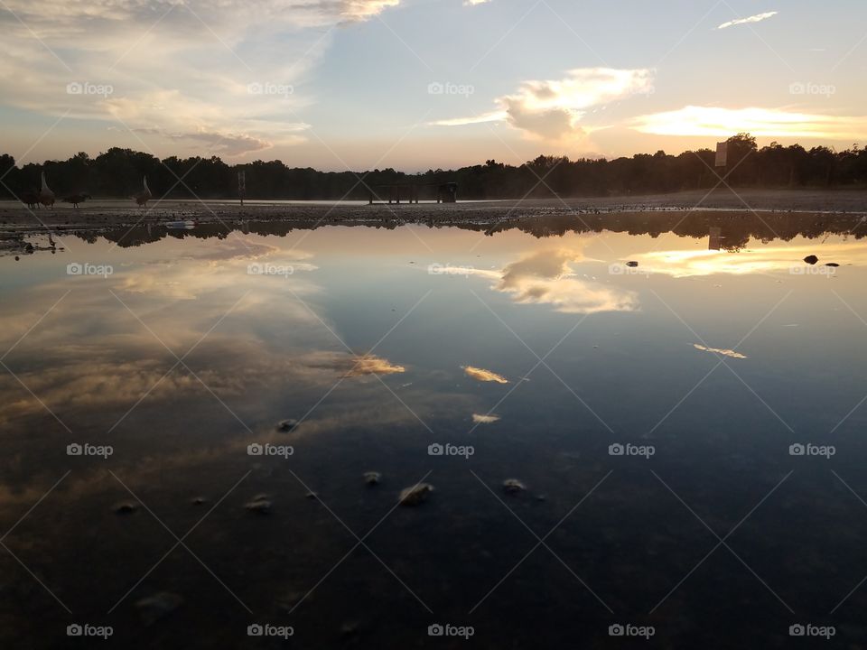 Glassy reflections