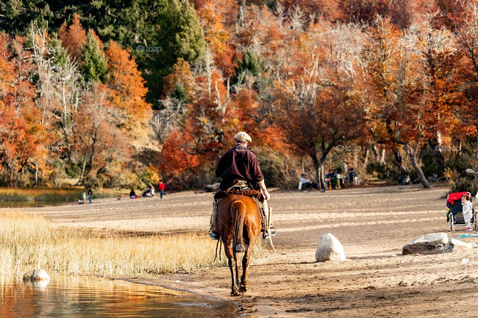 volver a casa en otoño