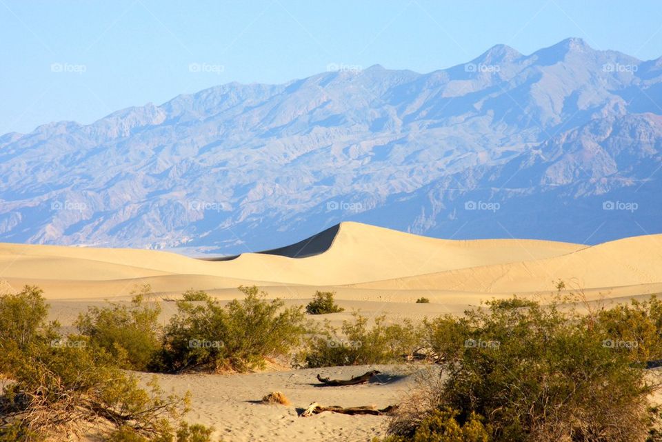 Death Valley Sand Dunes