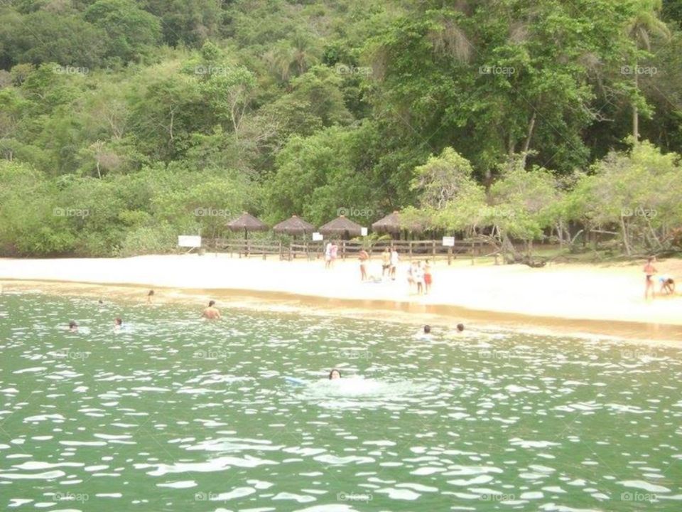 brasil e sua natureza