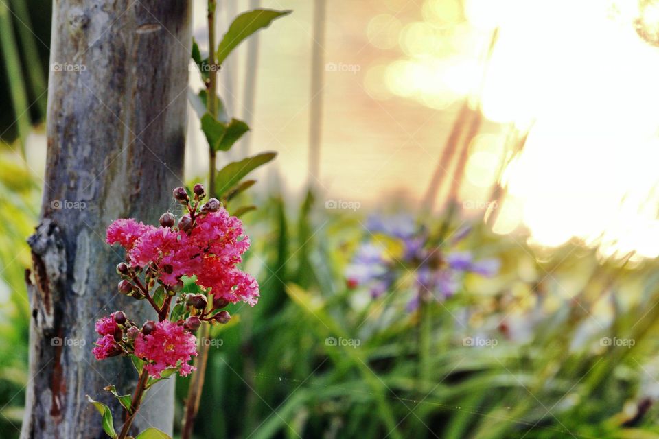 Beauty on the riverfront