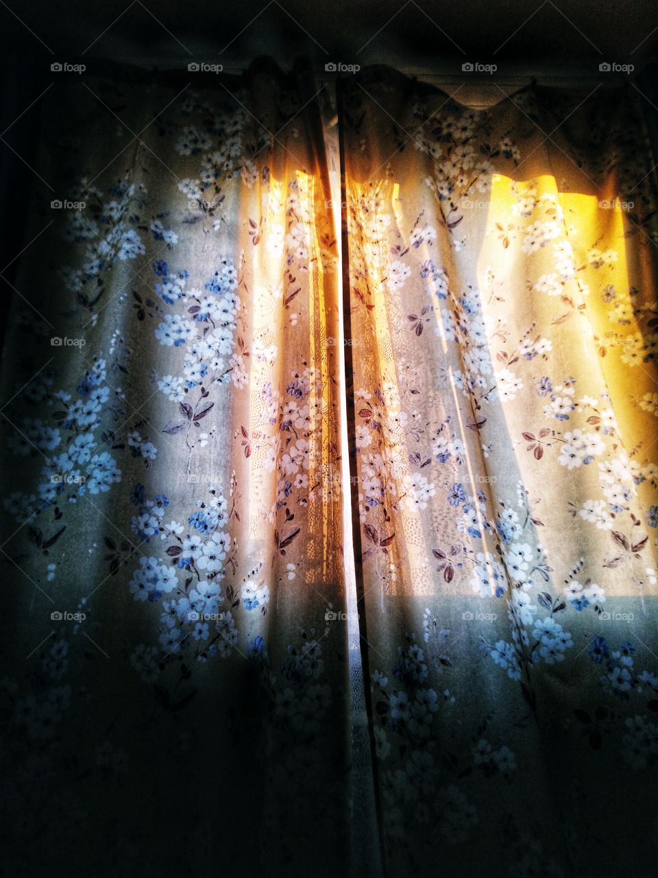 magic morning. sunlight. curtains. good morning.