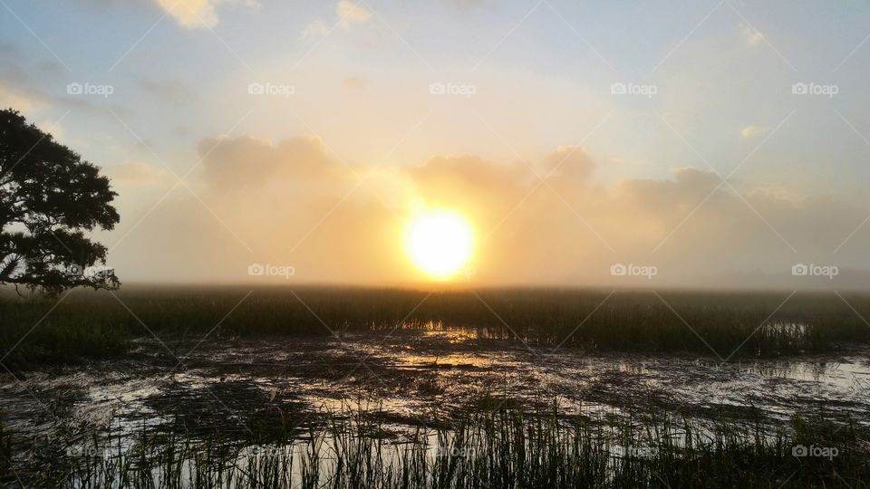 Scenic view of river at sunrise