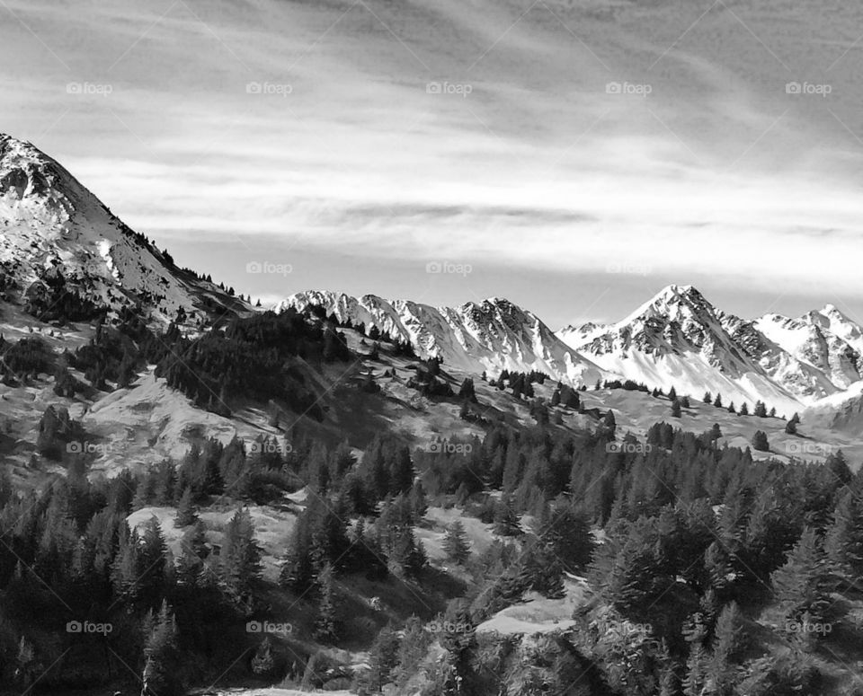 B&W Alaska. B&W Alaska