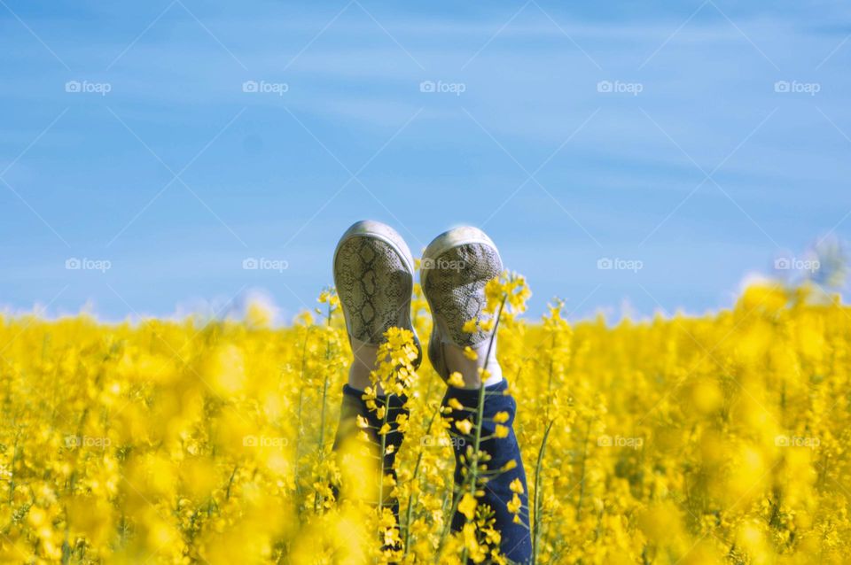 girl in a flowering field