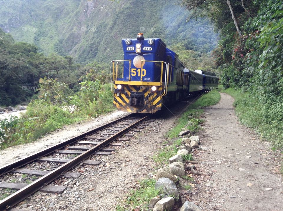 Train to Machu Picchu. This is the amazing railway path from aguas calientes to Machu Picchu, in the middle of the jungle!