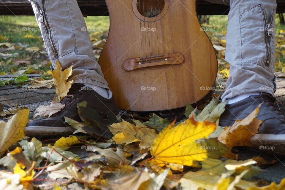 Guitar 