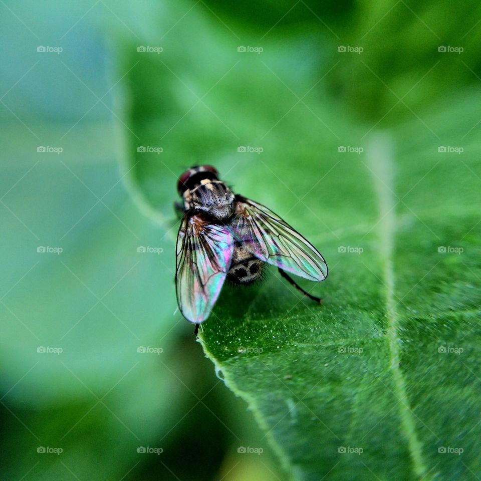 beautiful nature around you