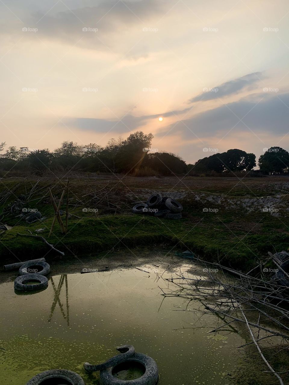 Local field with a nice sunset 