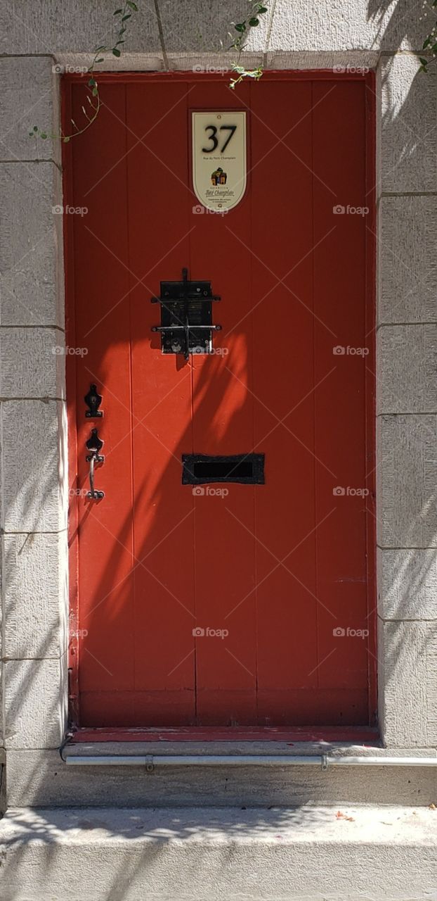 Red the door haven't.