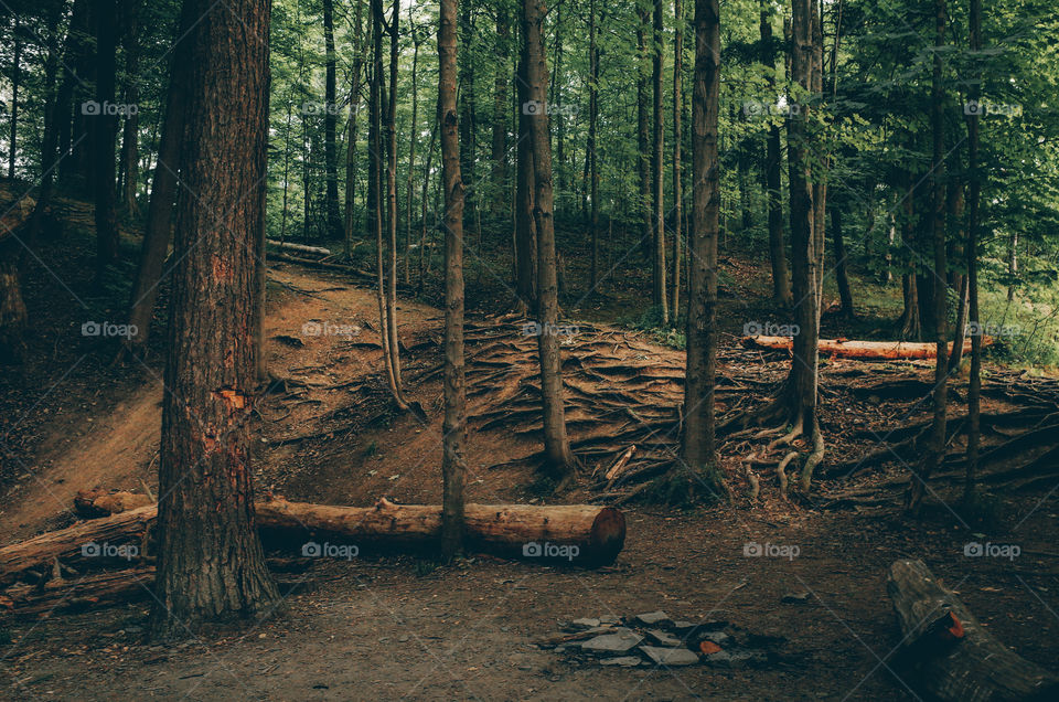 amazing dirt bike trails