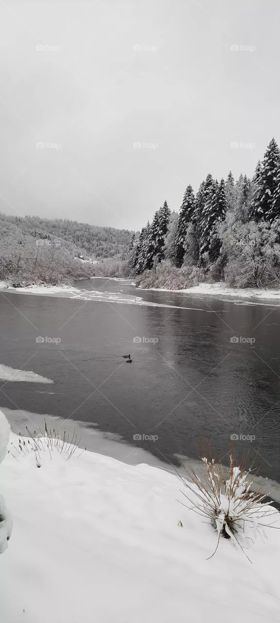 Winter river