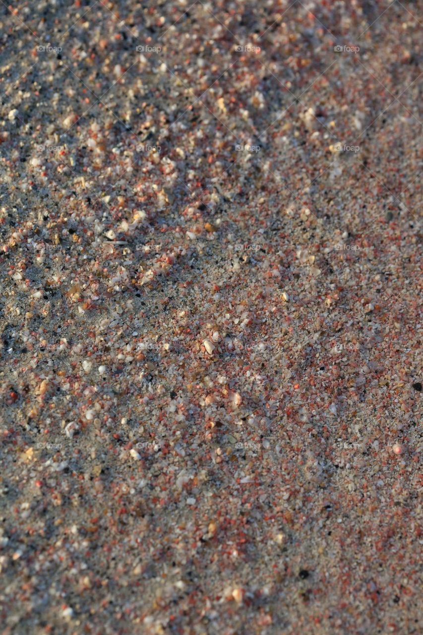 Beautiful shells on Elafonissi beach Creta island Greece summer feeling traveling with friends amazing nature therapy summer mood positive vibes wonderful time hustling daydreaming naturalism crystal waters paradise bay area