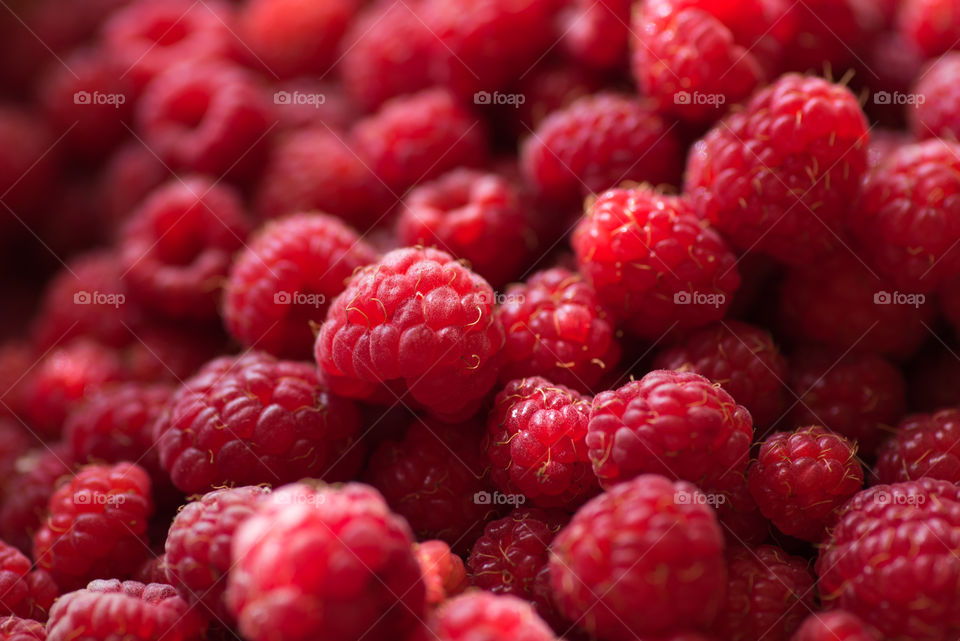 Full frame of raspberries