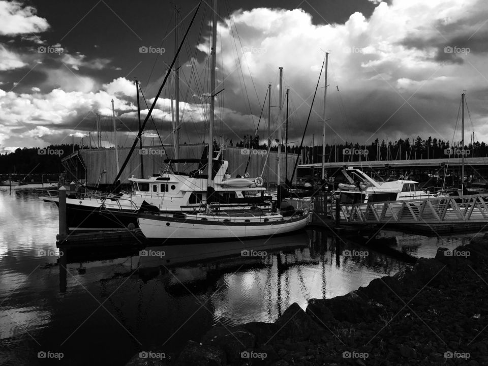 Sail Boats in Port 