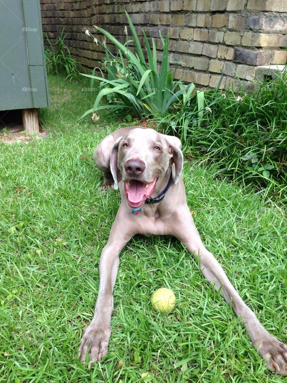 More chilling, less fetching.