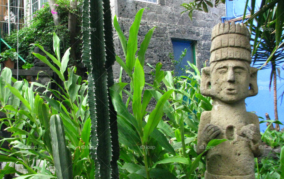Cultural Garden.. La Casa Azul. Museum at Delgacion Coyoacan at south of the Mexico City show the paints of Frida Kahlo and Diego Rivera.