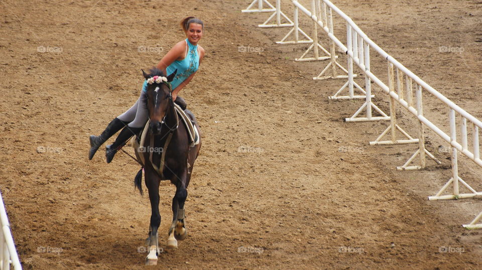 Equestrian performances 馬術表演