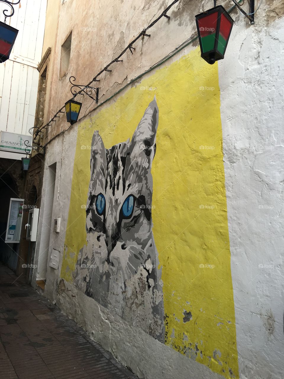 Art on wall in Essouria alley 