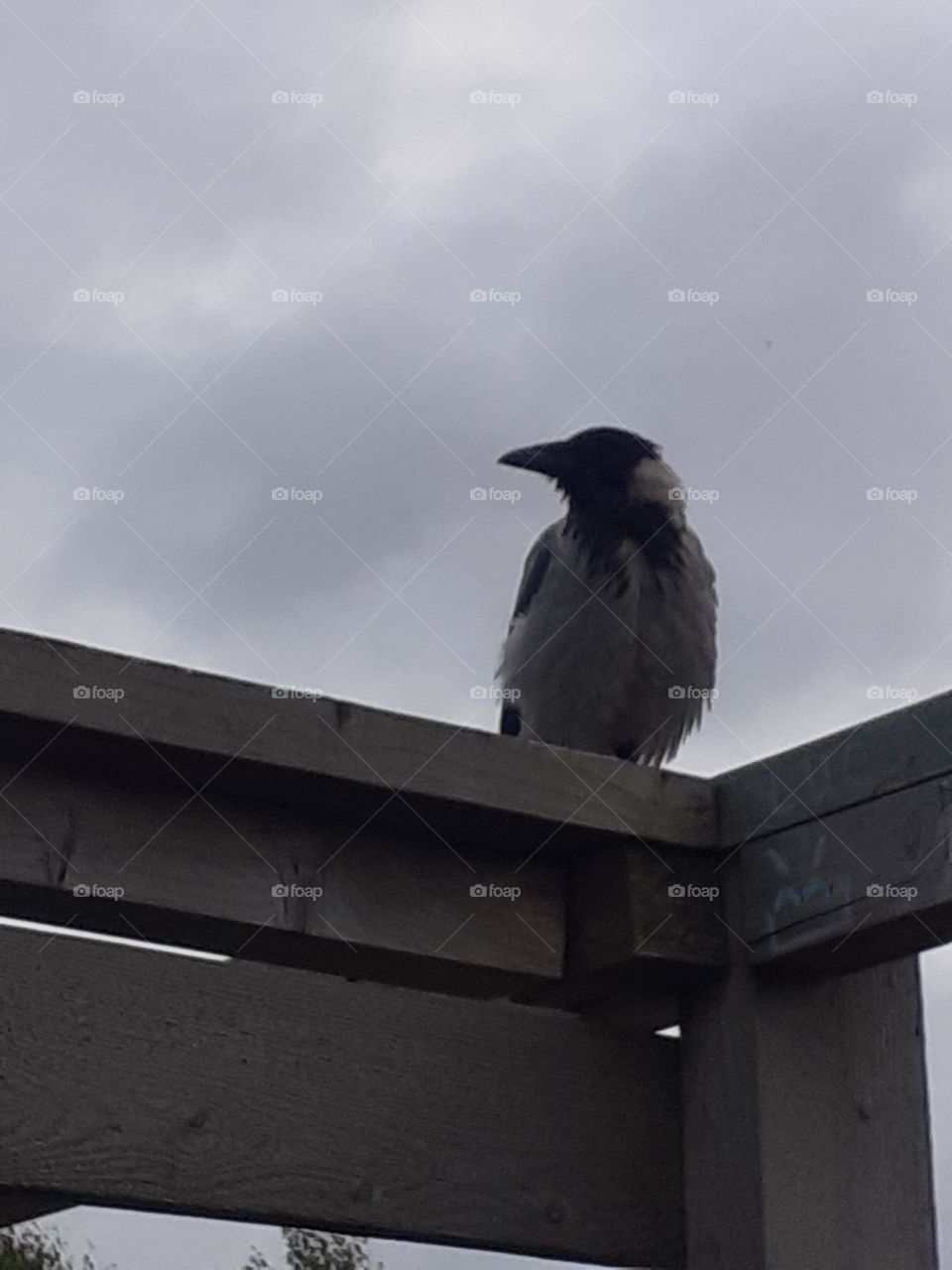 Сто лет одиночества...