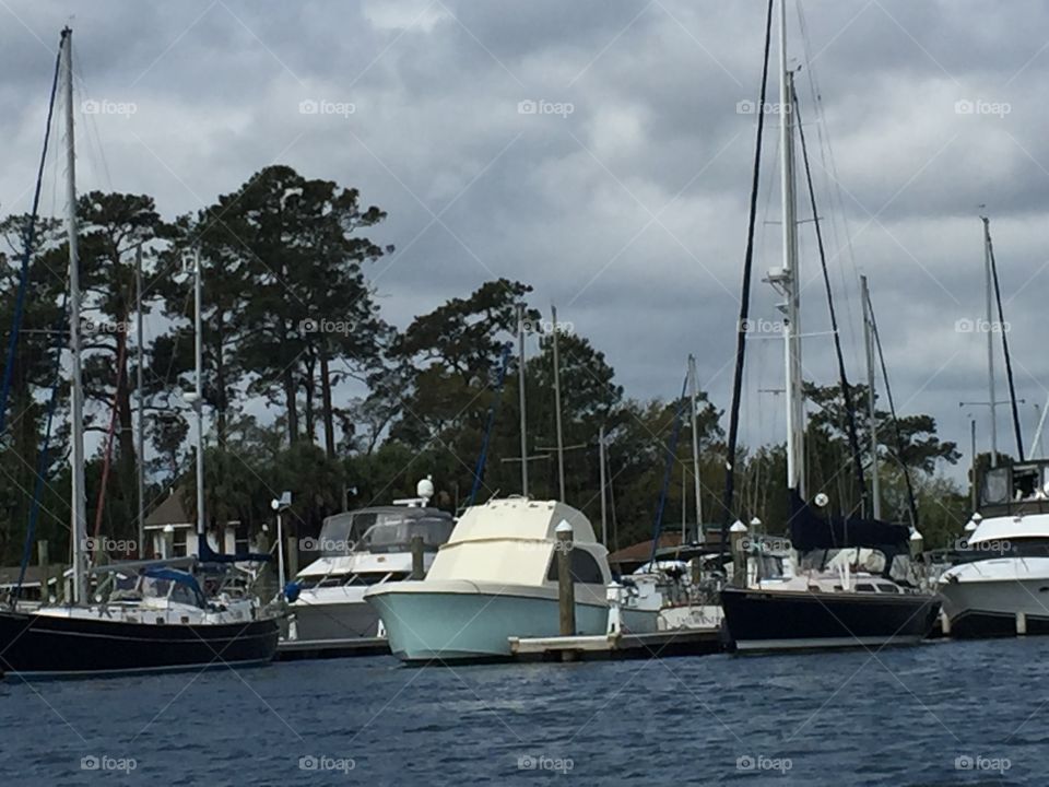 Savannah Marina