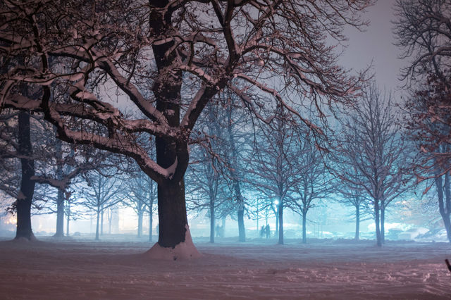 Munich 
