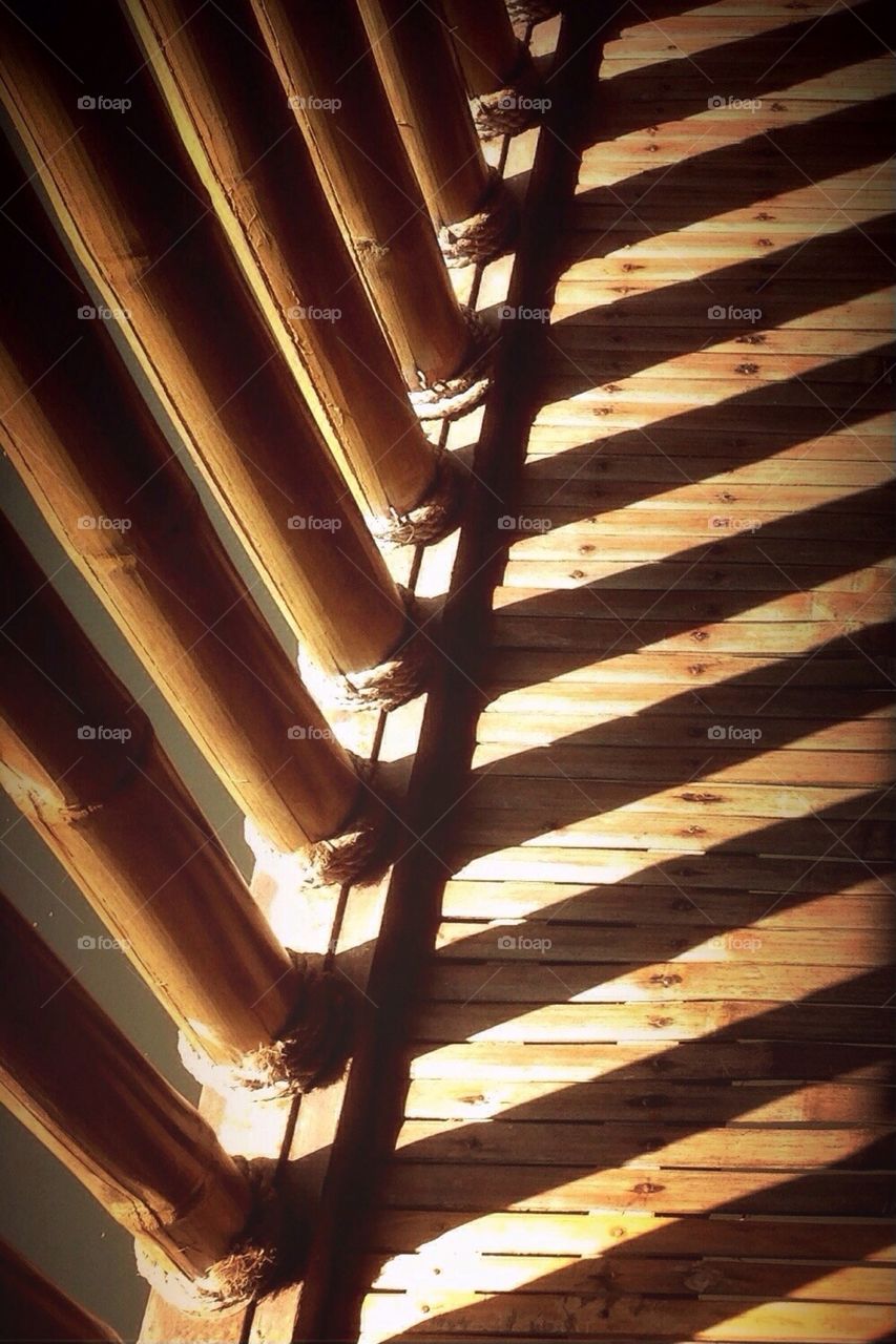 Bamboo shadows