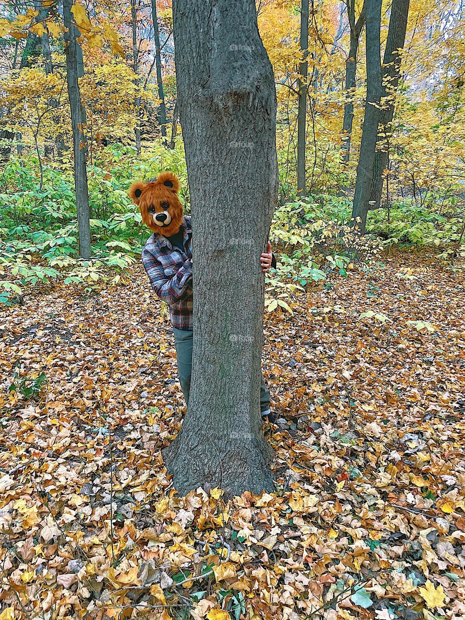 Peekaboo bear in the woods, woman wearing bear mask and hiding in the woods, surprise a bear is in the woods, being surprised in the woods, the emotion of surprise, showing surprise, surprise from behind a tree, masks and surprises 