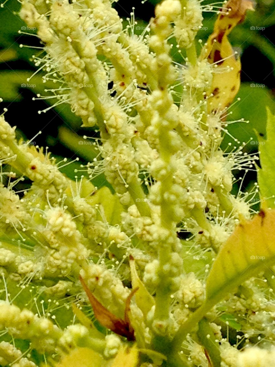 The miracle of nature