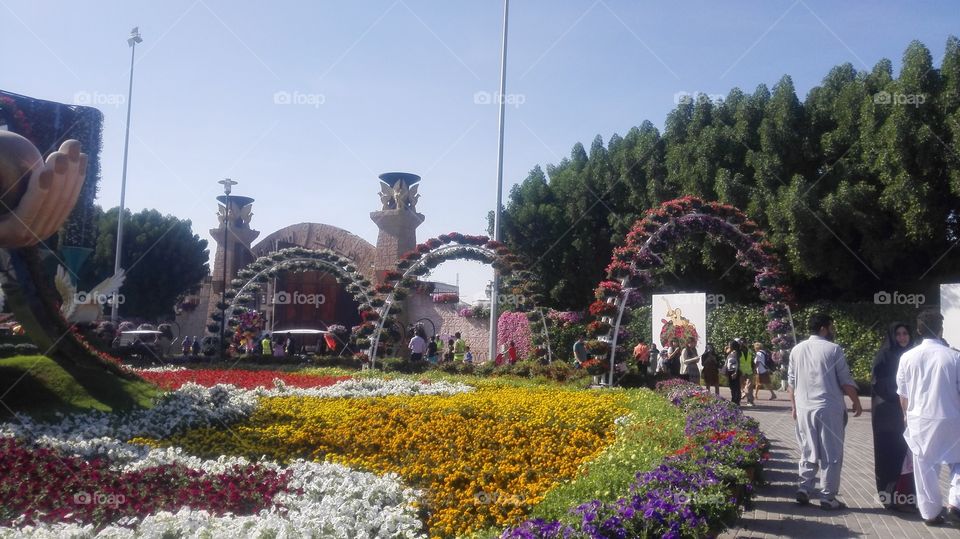 Dubai miracles garden