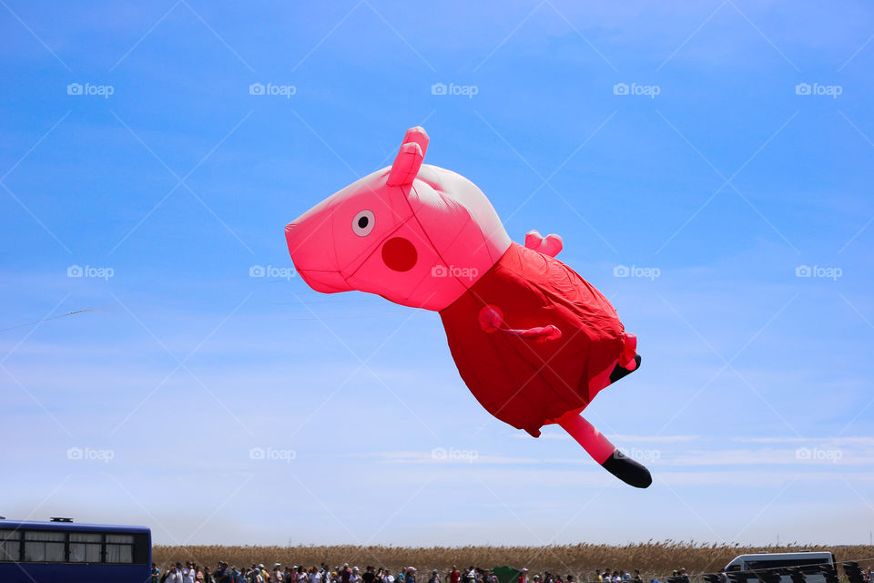 Pink kite in a pig shape is flying in the blue sky