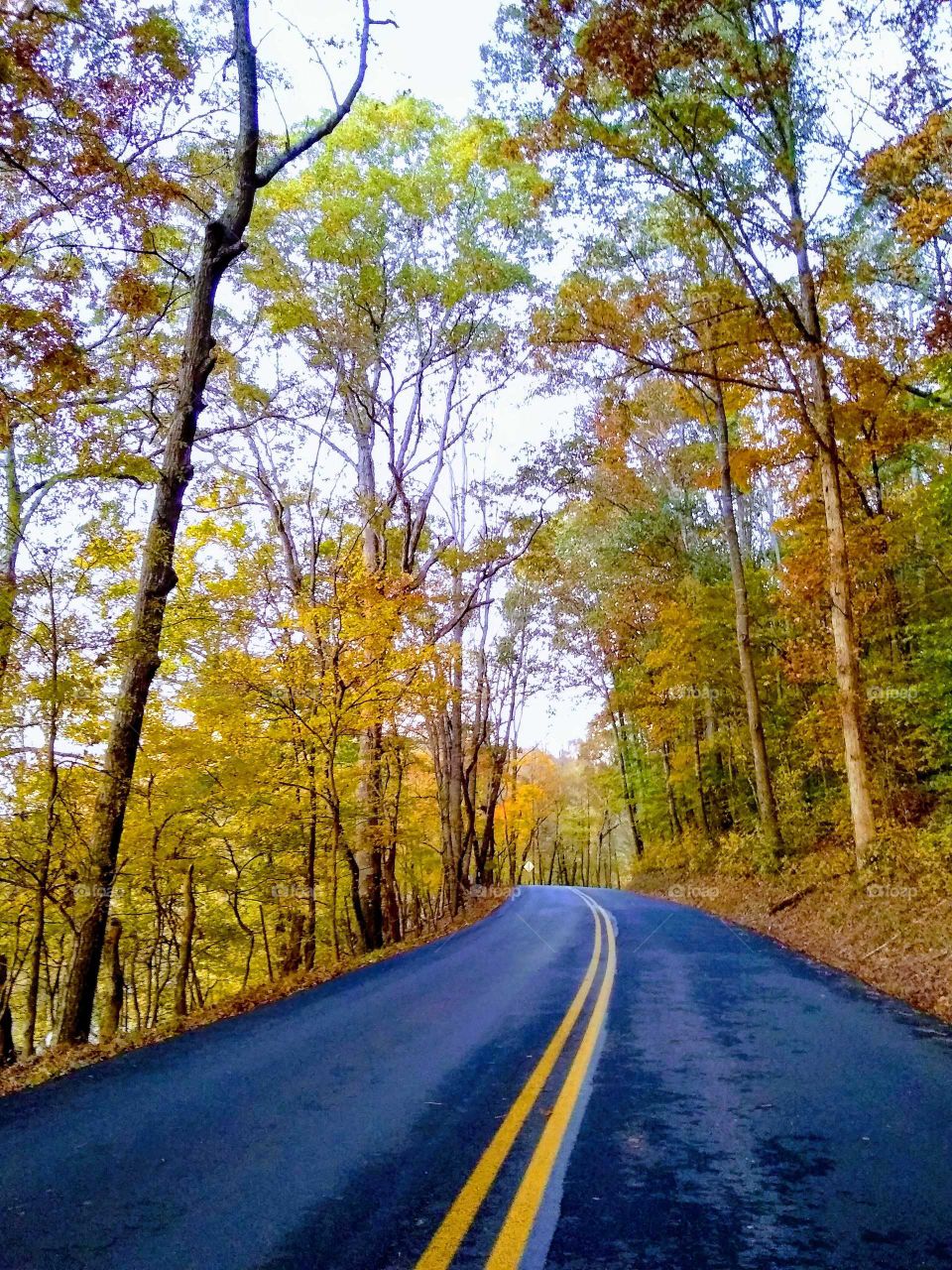 Roads of the Fall