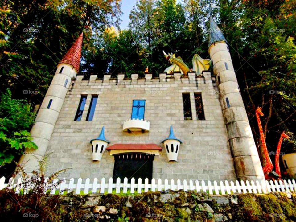 Castle in the forest