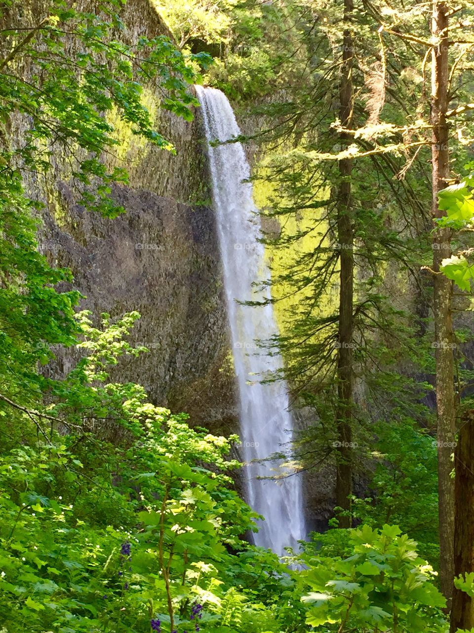 Portland Waterfall 