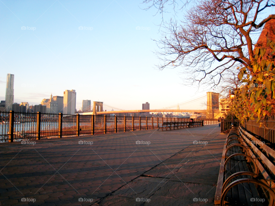 sky tree sunny sidewalk by vincentm