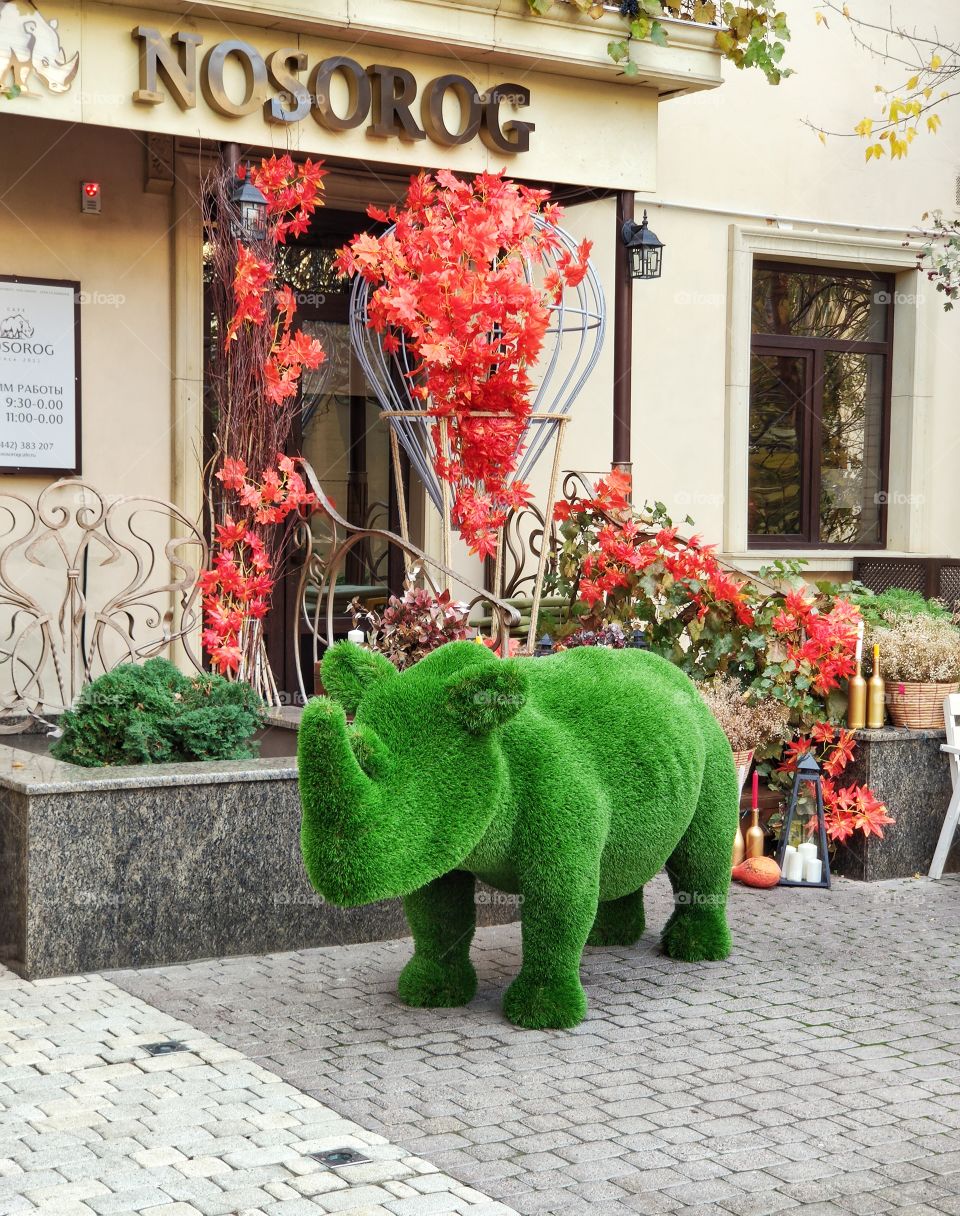 The interior of the entrance to the cafe.  Beautiful rhino.