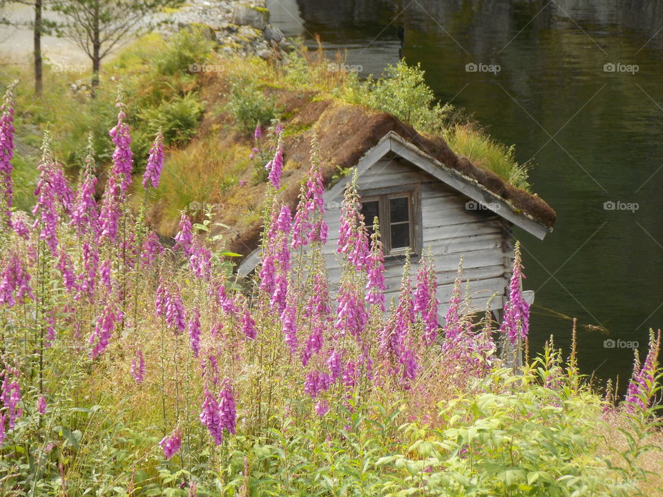 On the road. Norway nature