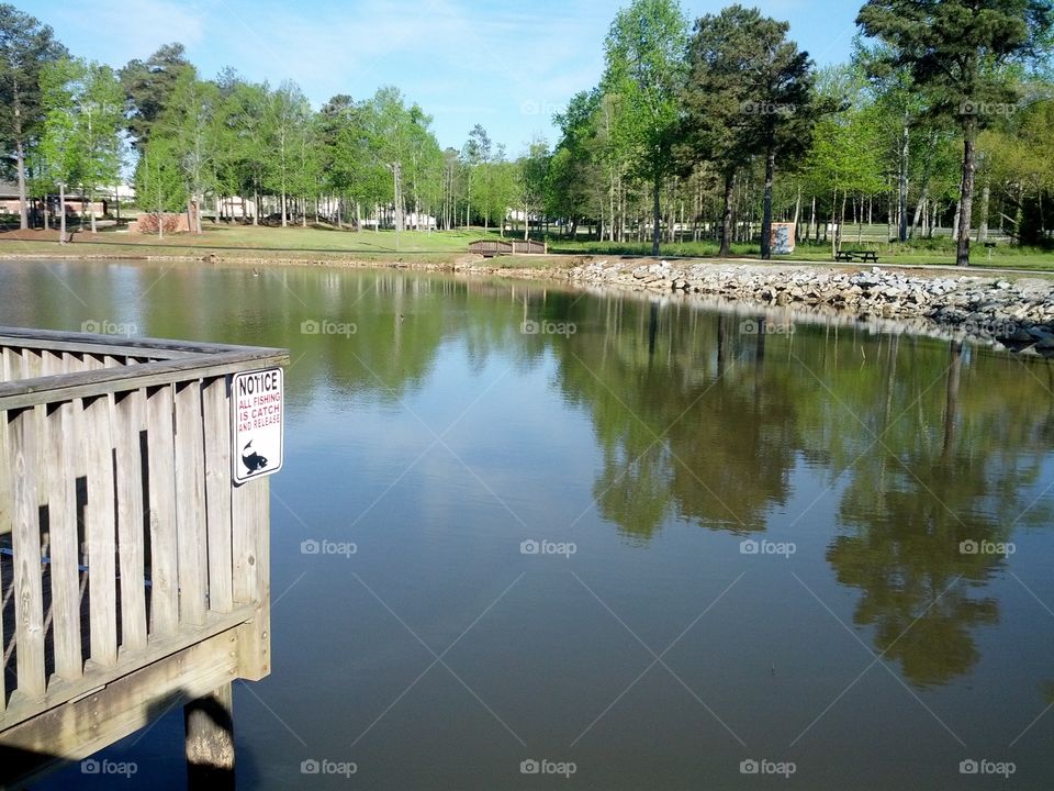 City park in Douglasville Georgia. This was my grandmother's favorite place in Douglasville and she so loved the springtime the dogwoods and all the flowers blooming God rest her soul
