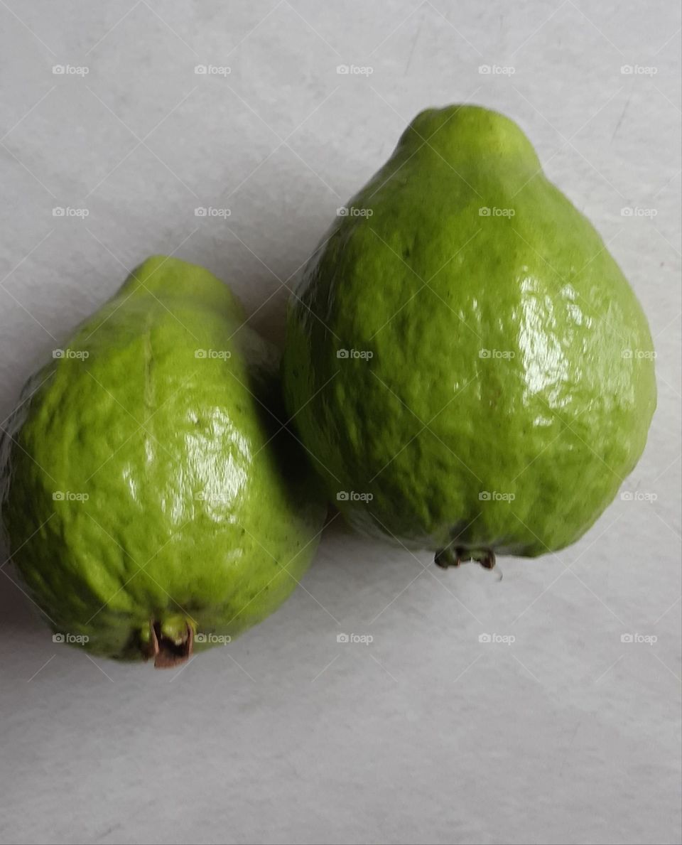 Psidium guajava isolated on grey background