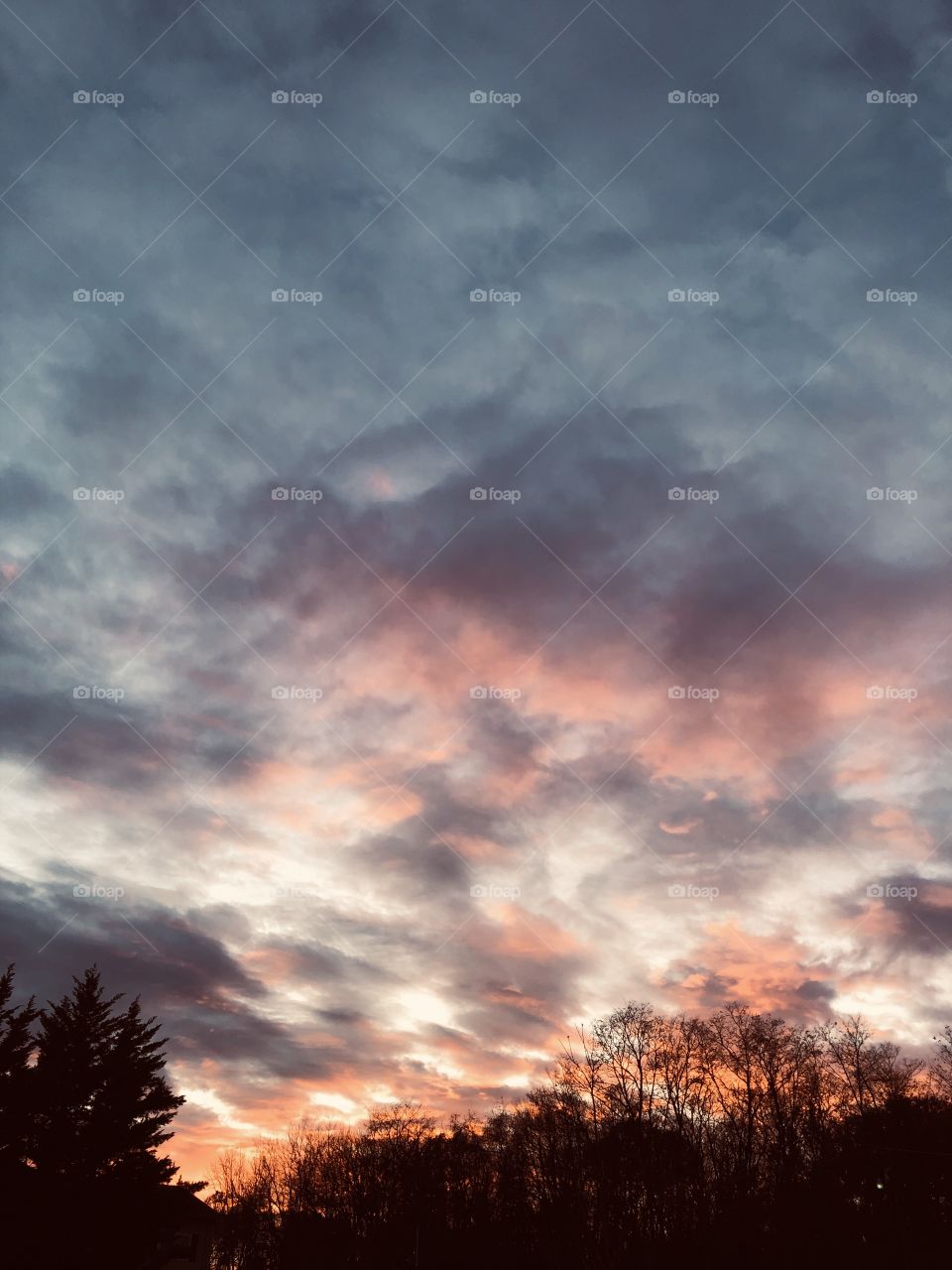 Sun setting colorful November skyline clouds trees wooded area 