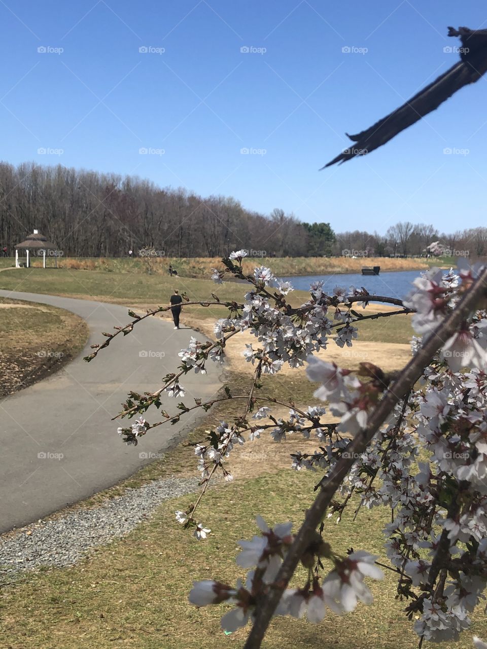 When the nature talks!