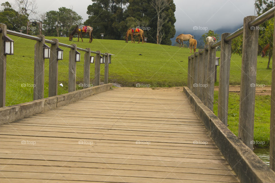 nuwara eliya sri lanka