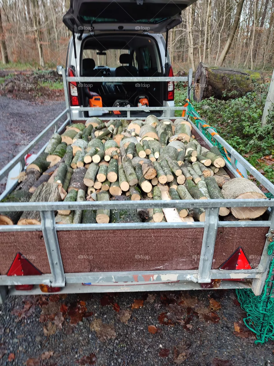 cutting trees, branches