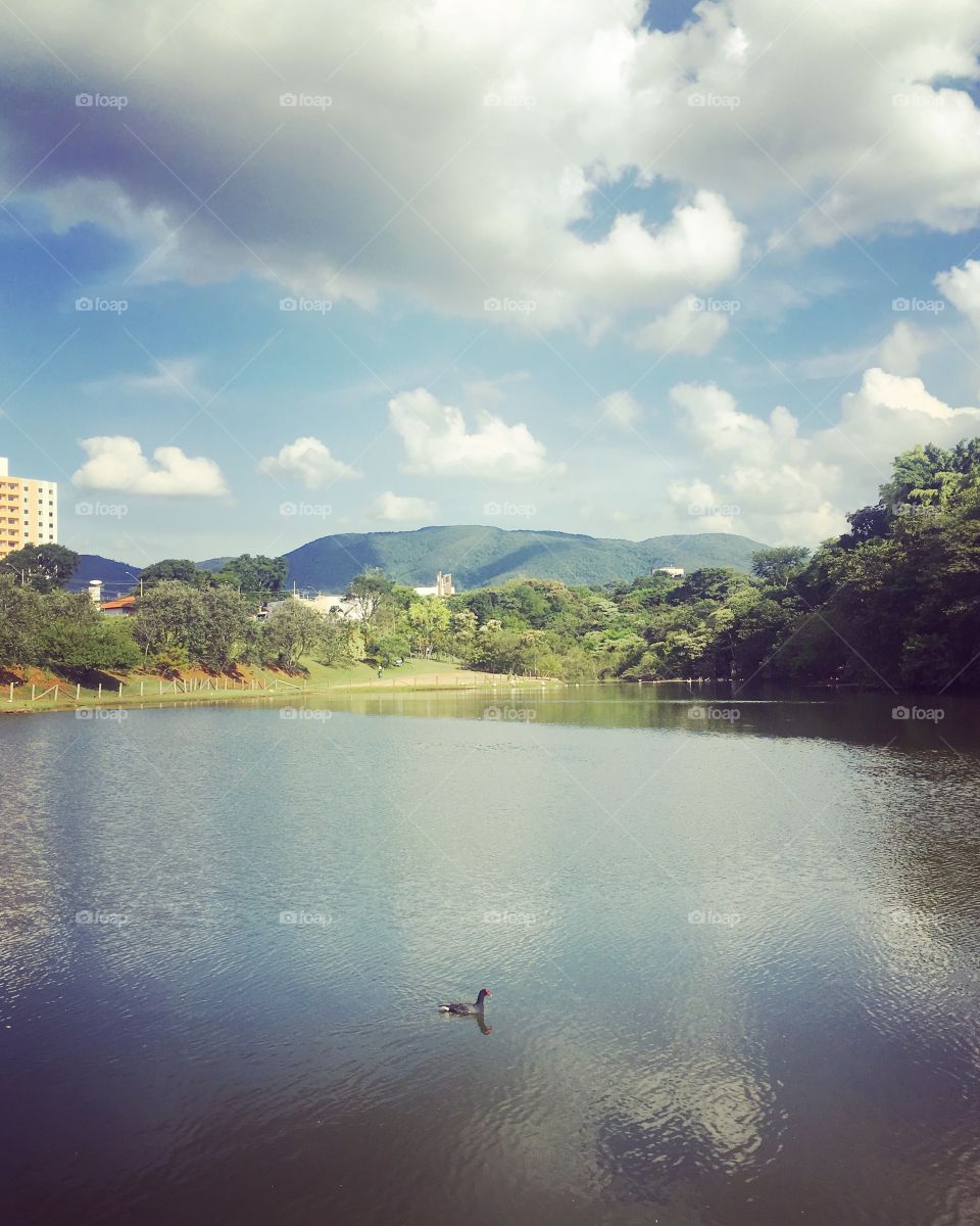 These are the blue and green of nature that bring inspiration! Long live the spring! /São esses azul e verde da natureza que trazem inspiração! Viva a primavera!
📸
#FOTOGRAFIAéNOSSOhobby