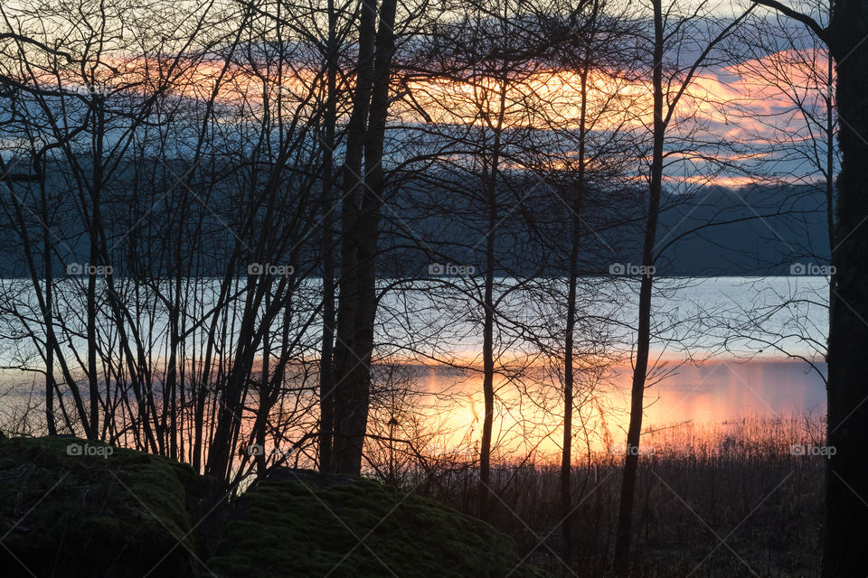 Colorful sunset in forest with sun reflection in the lake 