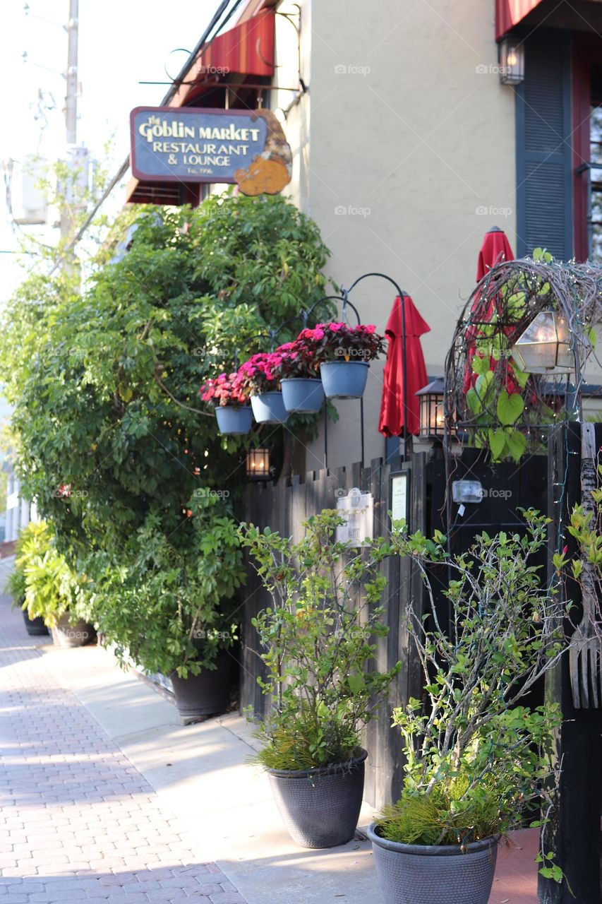 plants on the street