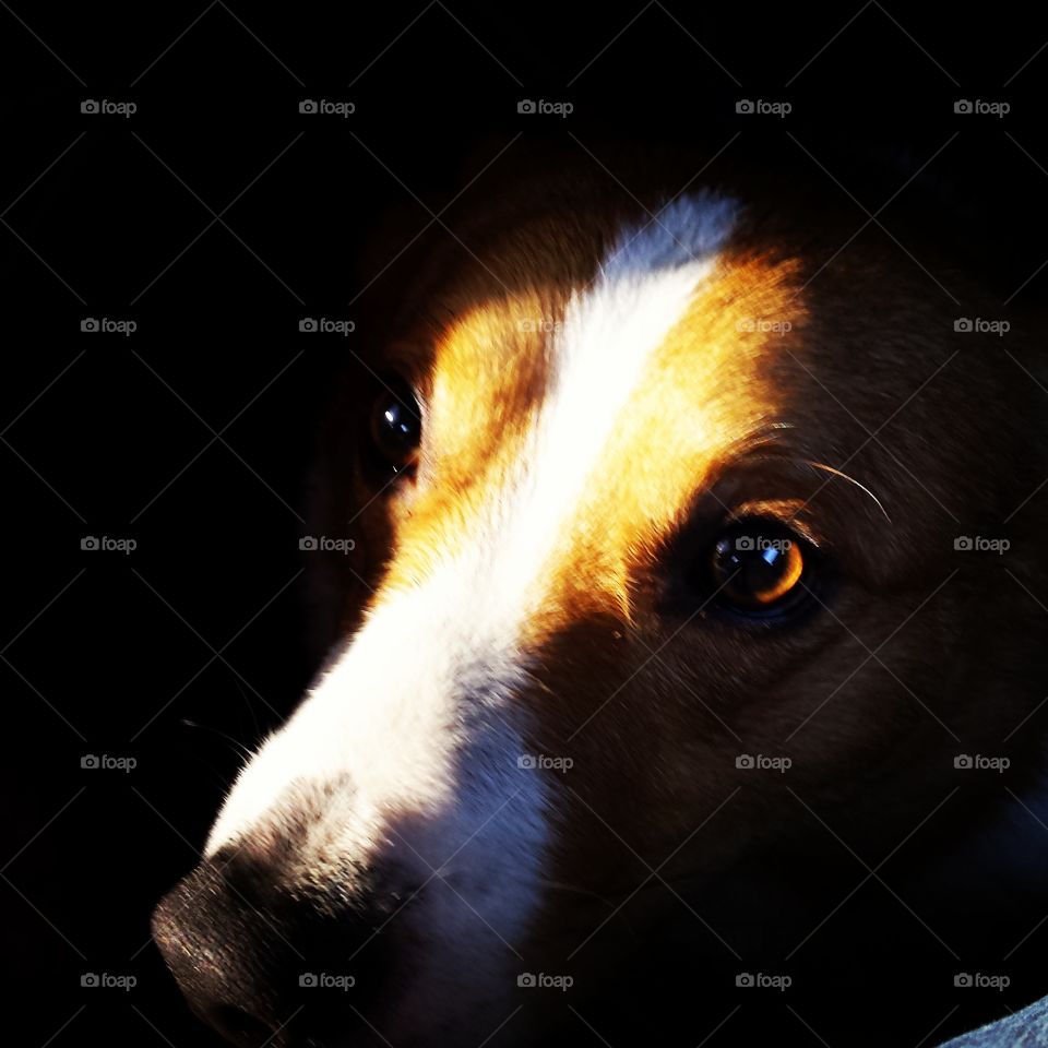 The One Time He Sat Still