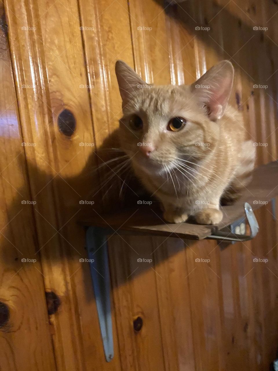 Always being watched 