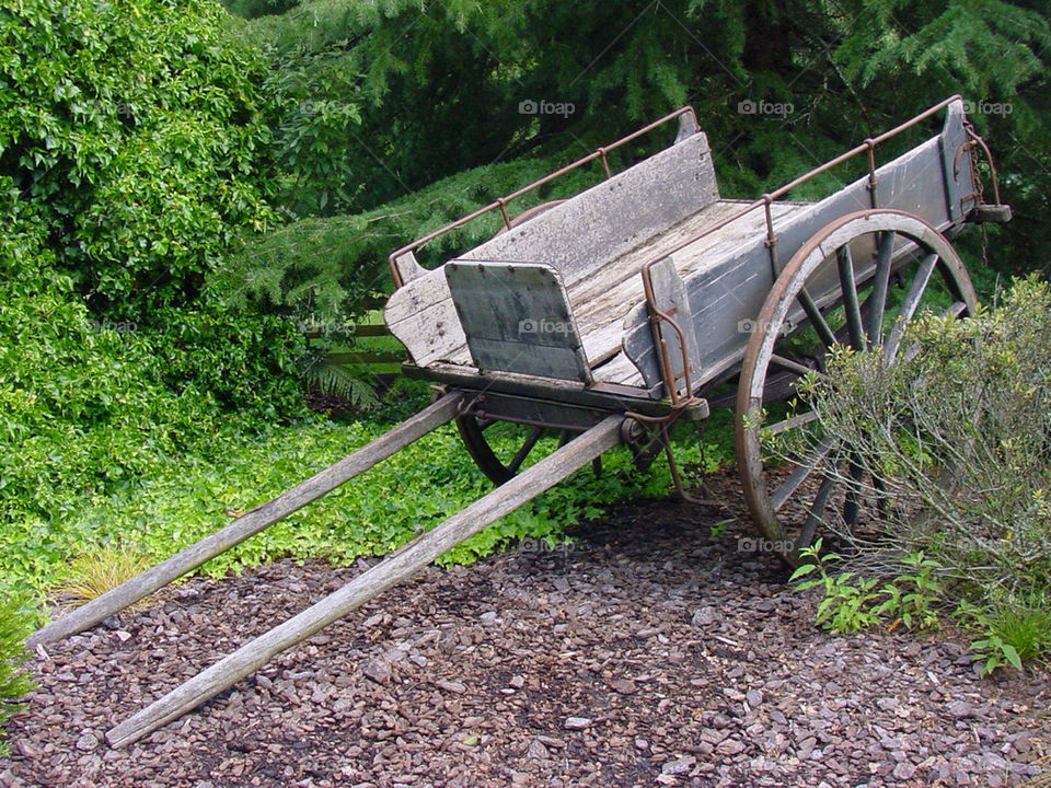 green wheel forest cart by kshapley